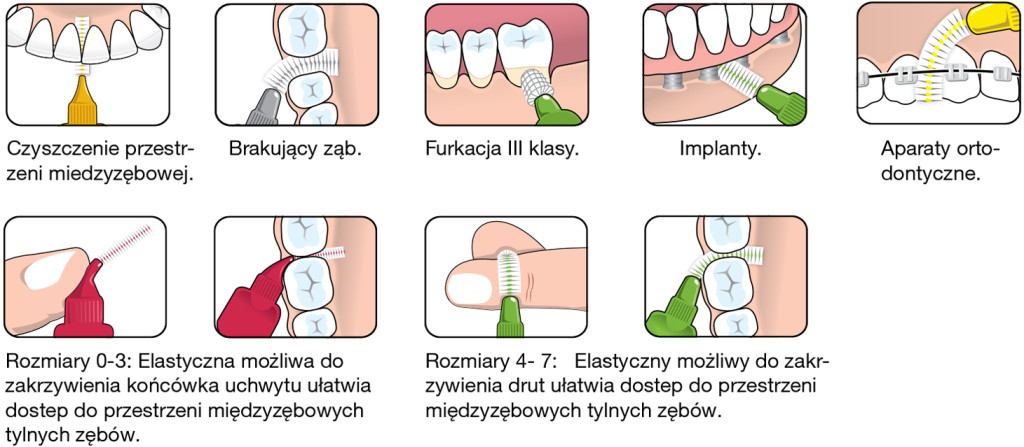 grafika-mezizub